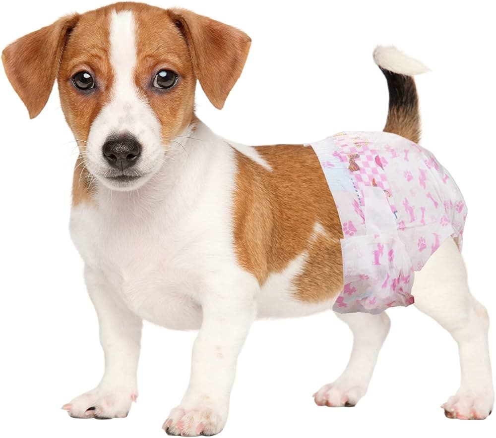 Best Dog Diapers for Puppies, Seniors, and Special Needs Dogs